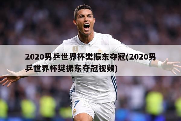 2020男乒世界杯樊振东夺冠(2020男乒世界杯樊振东夺冠视频)