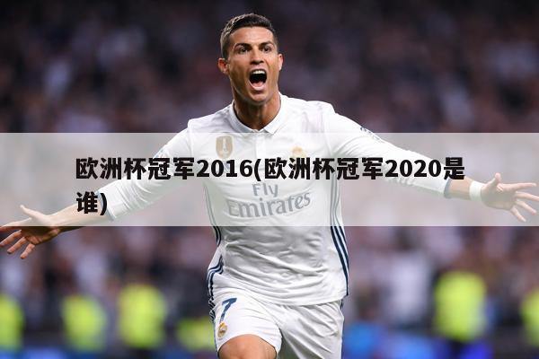 欧洲杯冠军2016(欧洲杯冠军2020是谁)