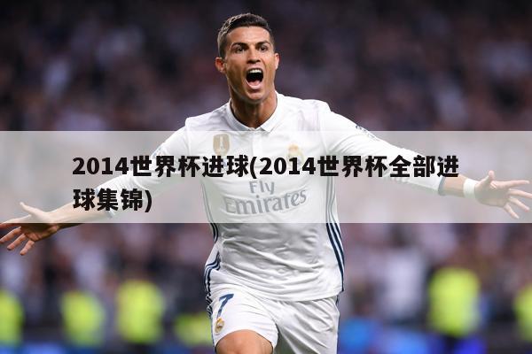 2014世界杯进球(2014世界杯全部进球集锦)