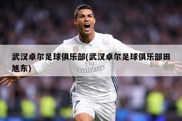 武汉卓尔足球俱乐部(武汉卓尔足球俱乐部田旭东)