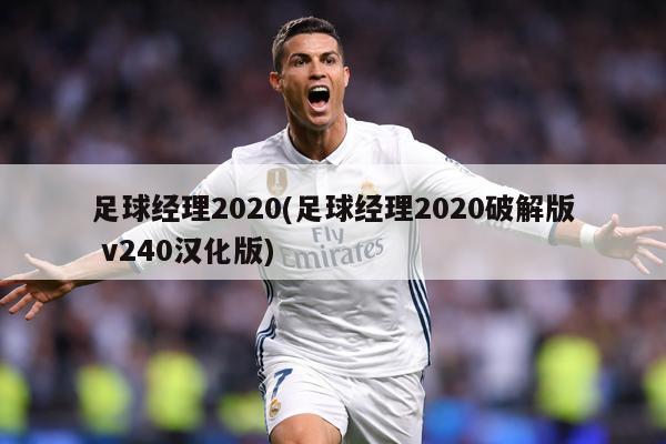 足球经理2020(足球经理2020破解版 v240汉化版)